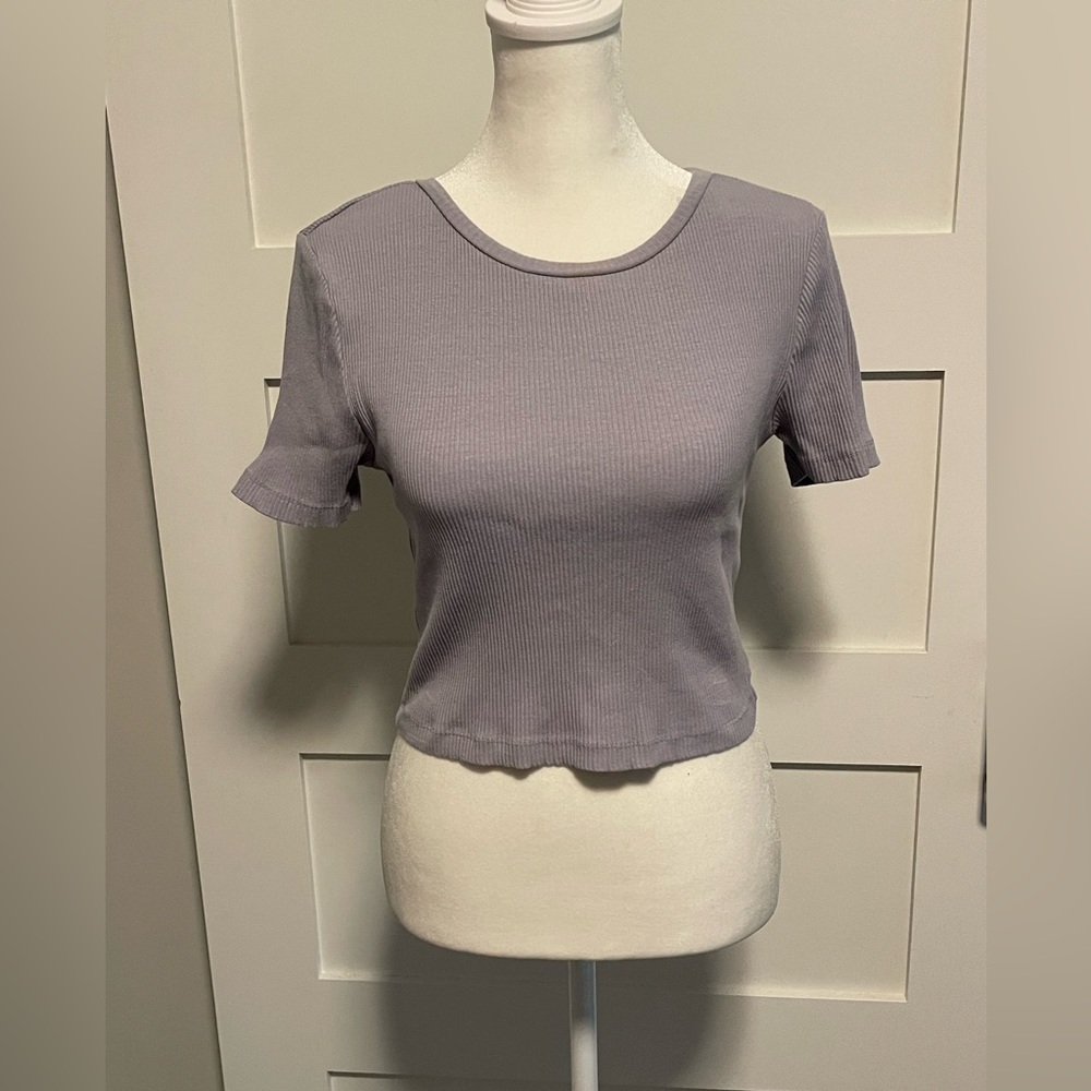 Zara Lavender Crop Top Size Medium